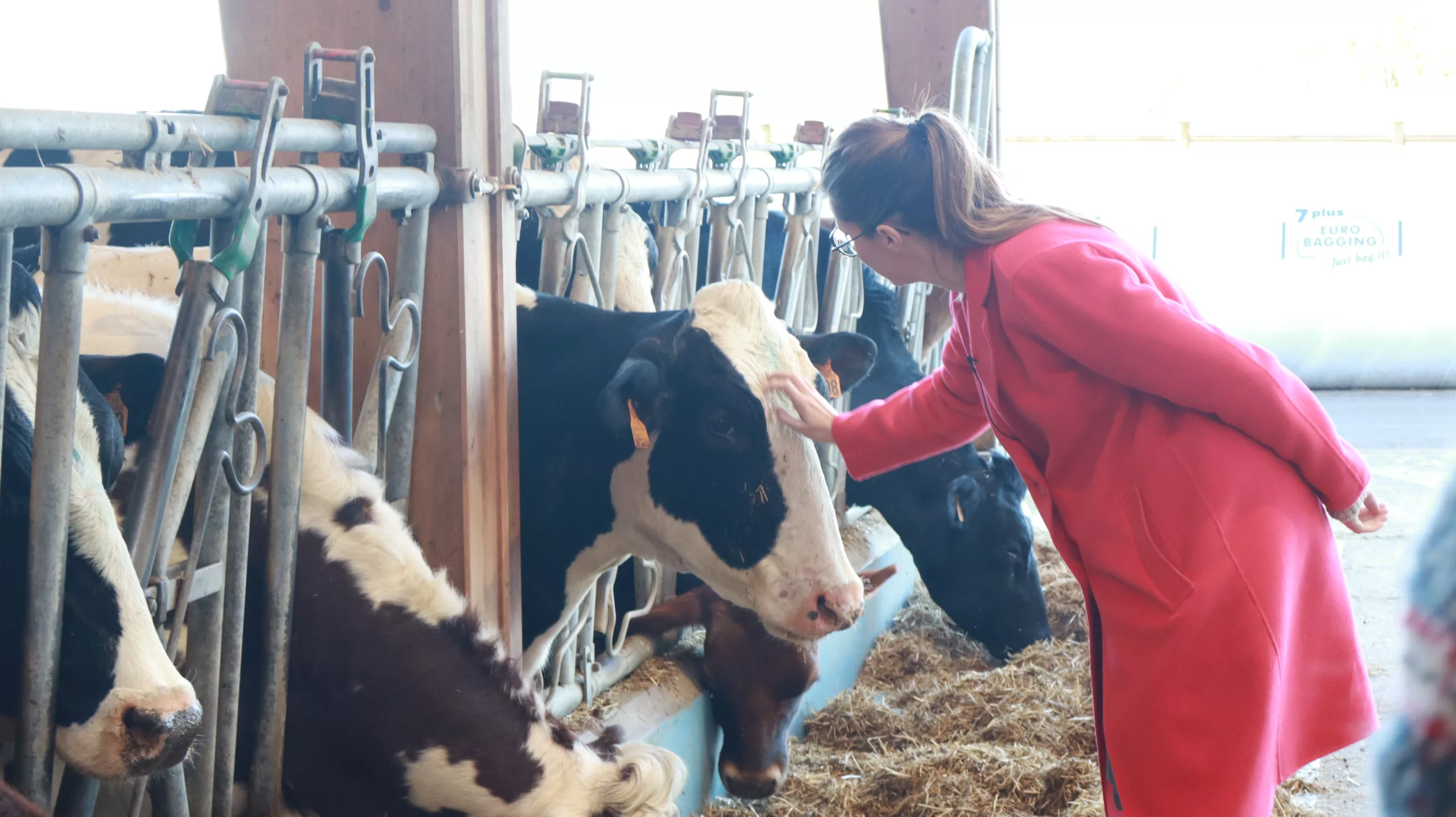 A la ferme de la Tremblaye